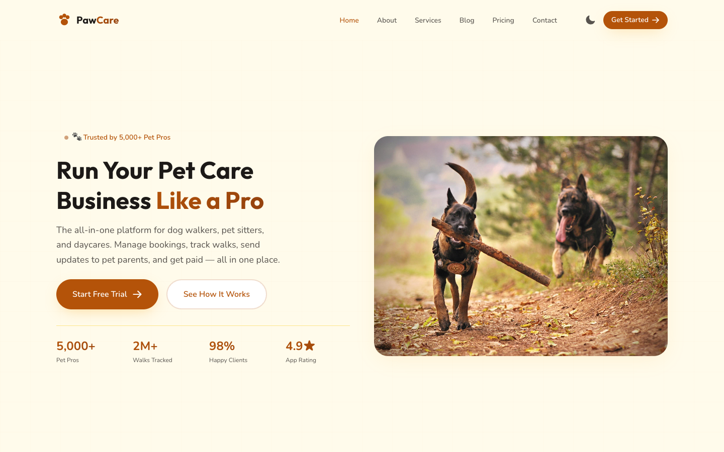PawCare template preview
